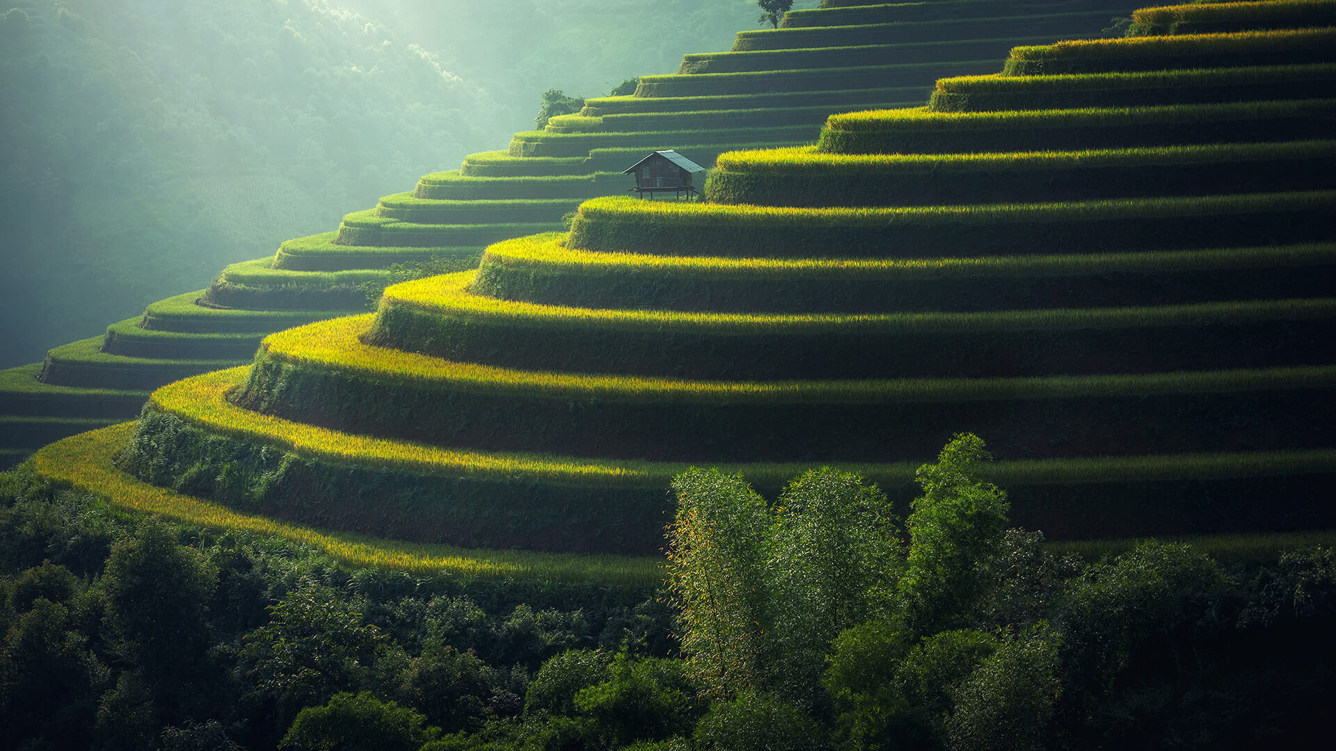 ASTM Nedir? ASTM Boru Standartları